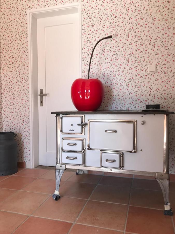 Ferienhaus Bei Lauingen, Mit Sauna Und Gartenlounge Veitriedhausen エクステリア 写真