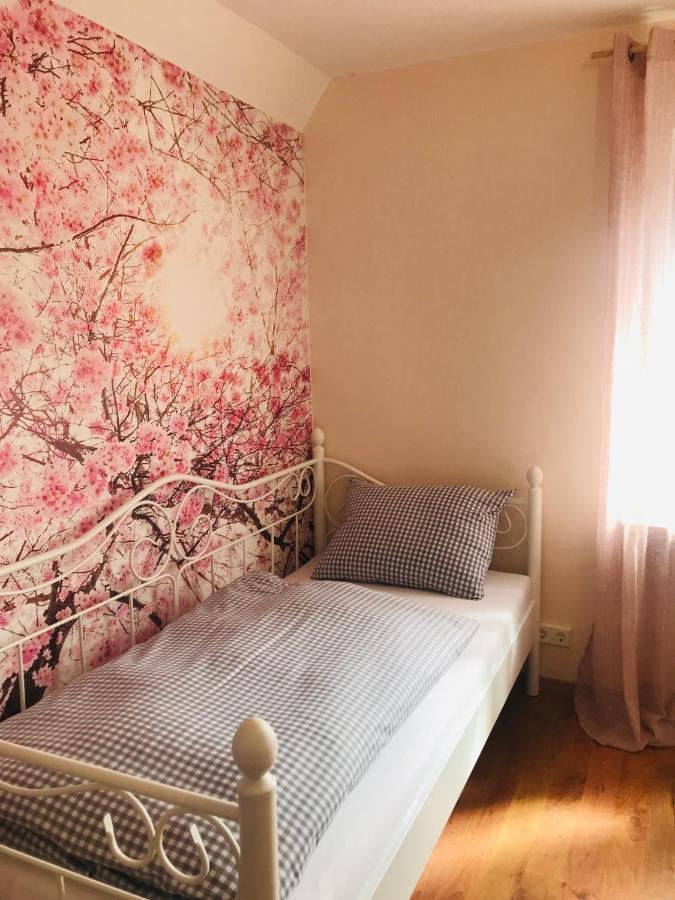 Ferienhaus Bei Lauingen, Mit Sauna Und Gartenlounge Veitriedhausen エクステリア 写真