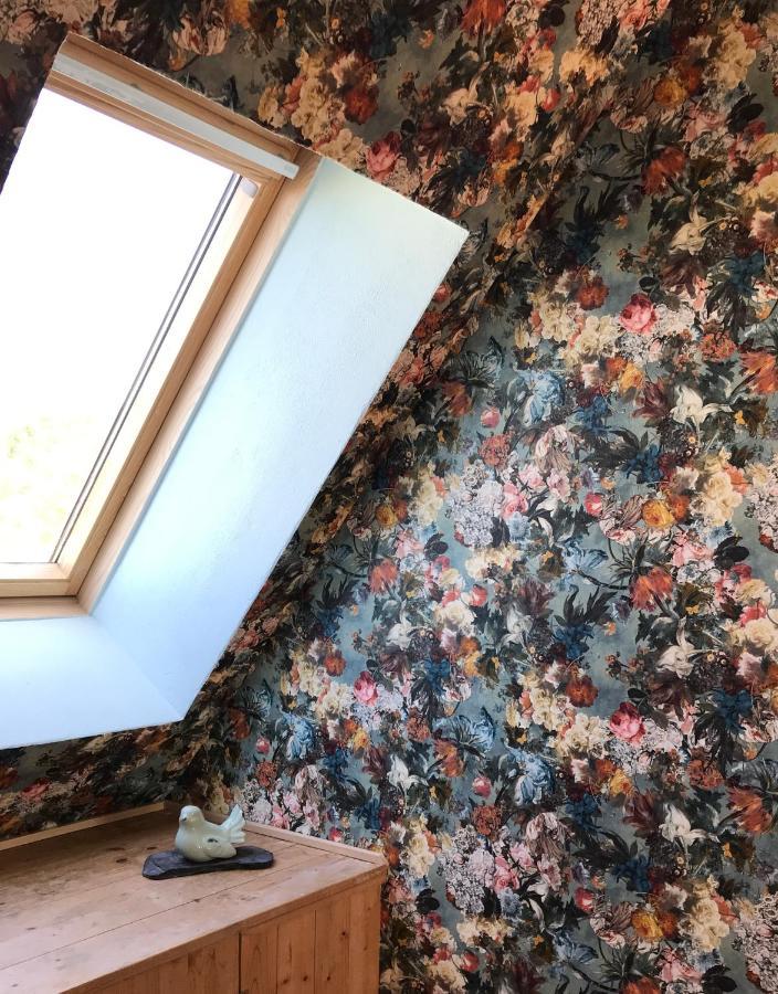 Ferienhaus Bei Lauingen, Mit Sauna Und Gartenlounge Veitriedhausen エクステリア 写真